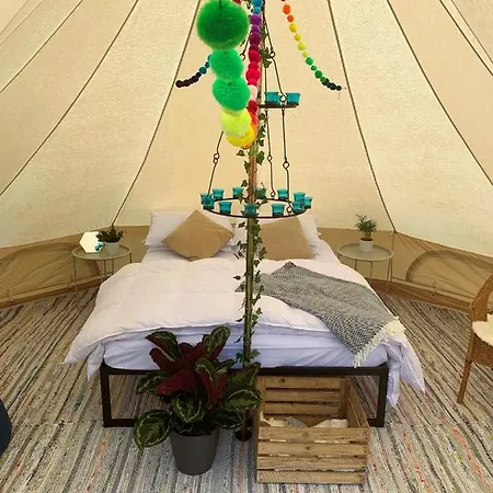 Bowhayes Farm - Camping & Glamping - Bell Tents - Cider Orchard Venn Ottery Exterior photo