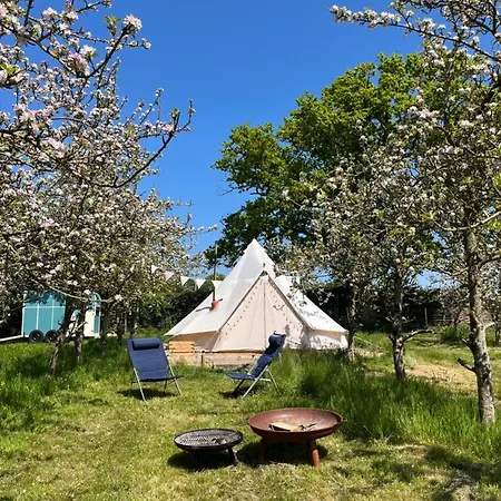 Bowhayes Farm - Camping & Glamping - Bell Tents - Cider Orchard Venn Ottery Exterior photo