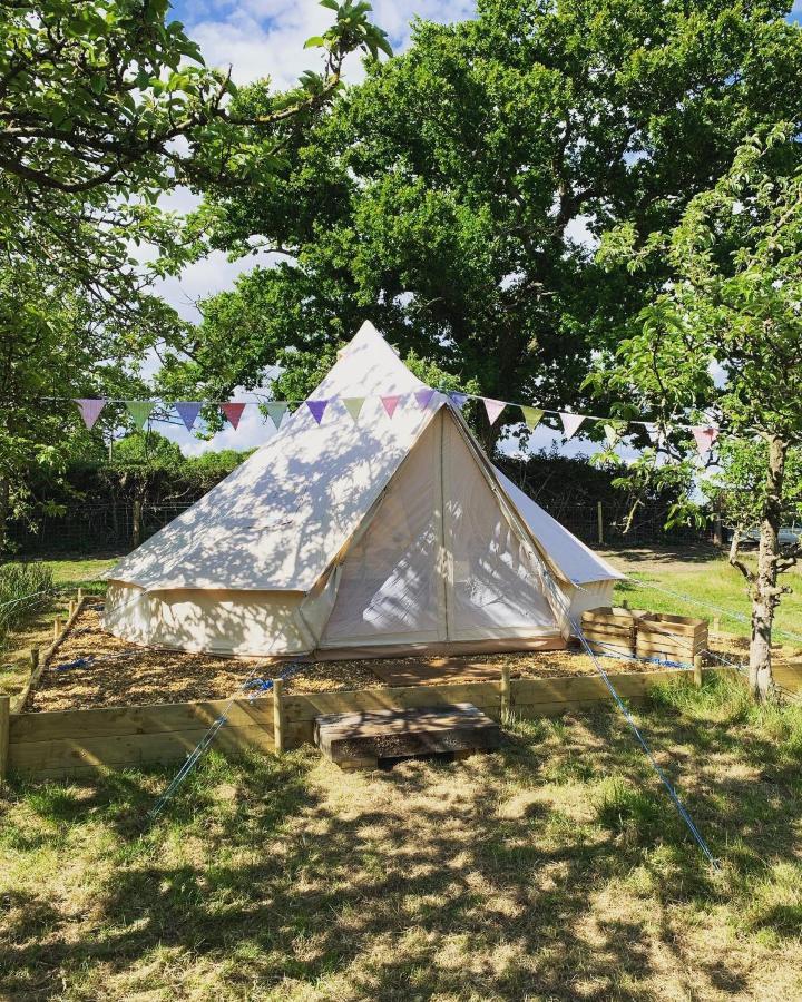 Bowhayes Farm - & Glamping - Bell Tents - Cider Orchard Venn Ottery