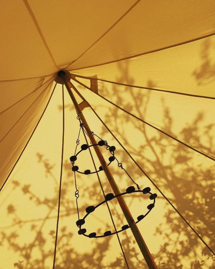 Luxury tent Bowhayes Farm - & Glamping - Bell Tents - Cider Orchard