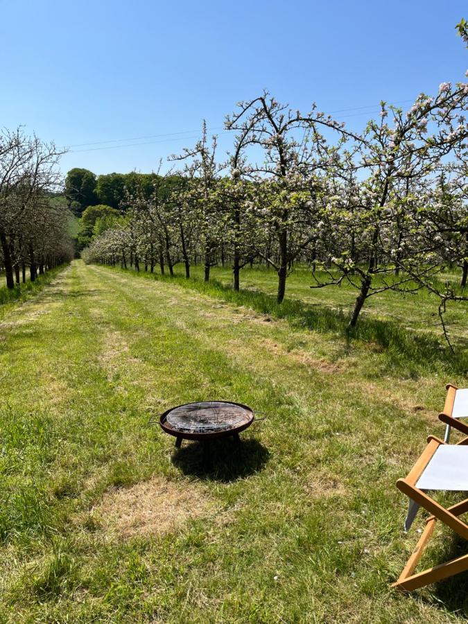 Luxury tent Bowhayes Farm - & Glamping - Bell Tents - Cider Orchard