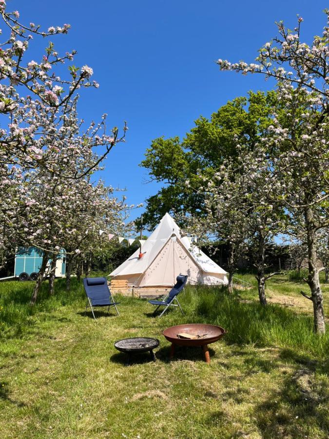 Bowhayes Farm - & Glamping - Bell Tents - Cider Orchard Luxury tent