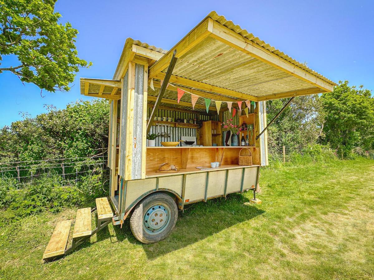 Bowhayes Farm - & Glamping - Bell Tents - Cider Orchard *